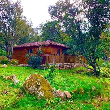 L'Aravone Lodge Sartène Exteriér fotografie