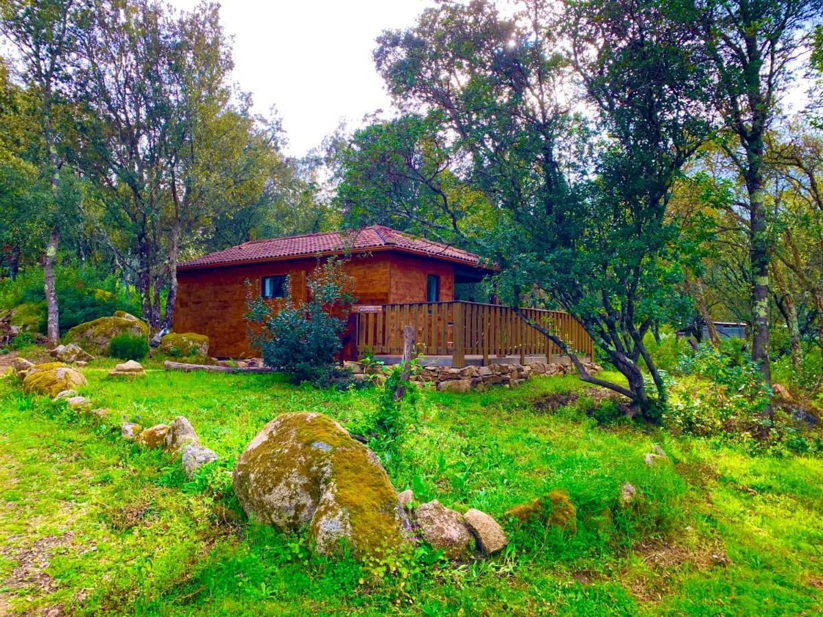 L'Aravone Lodge Sartène Exteriér fotografie